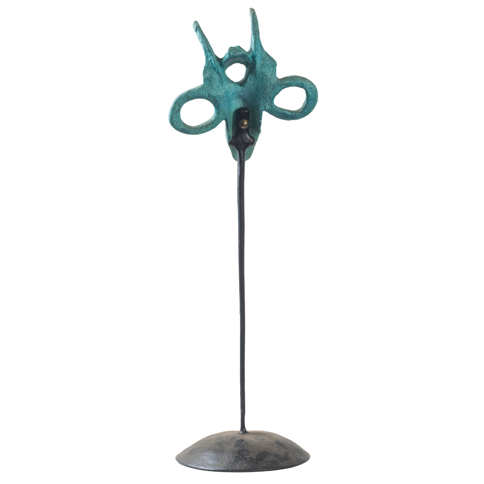 turquoise-mask-back