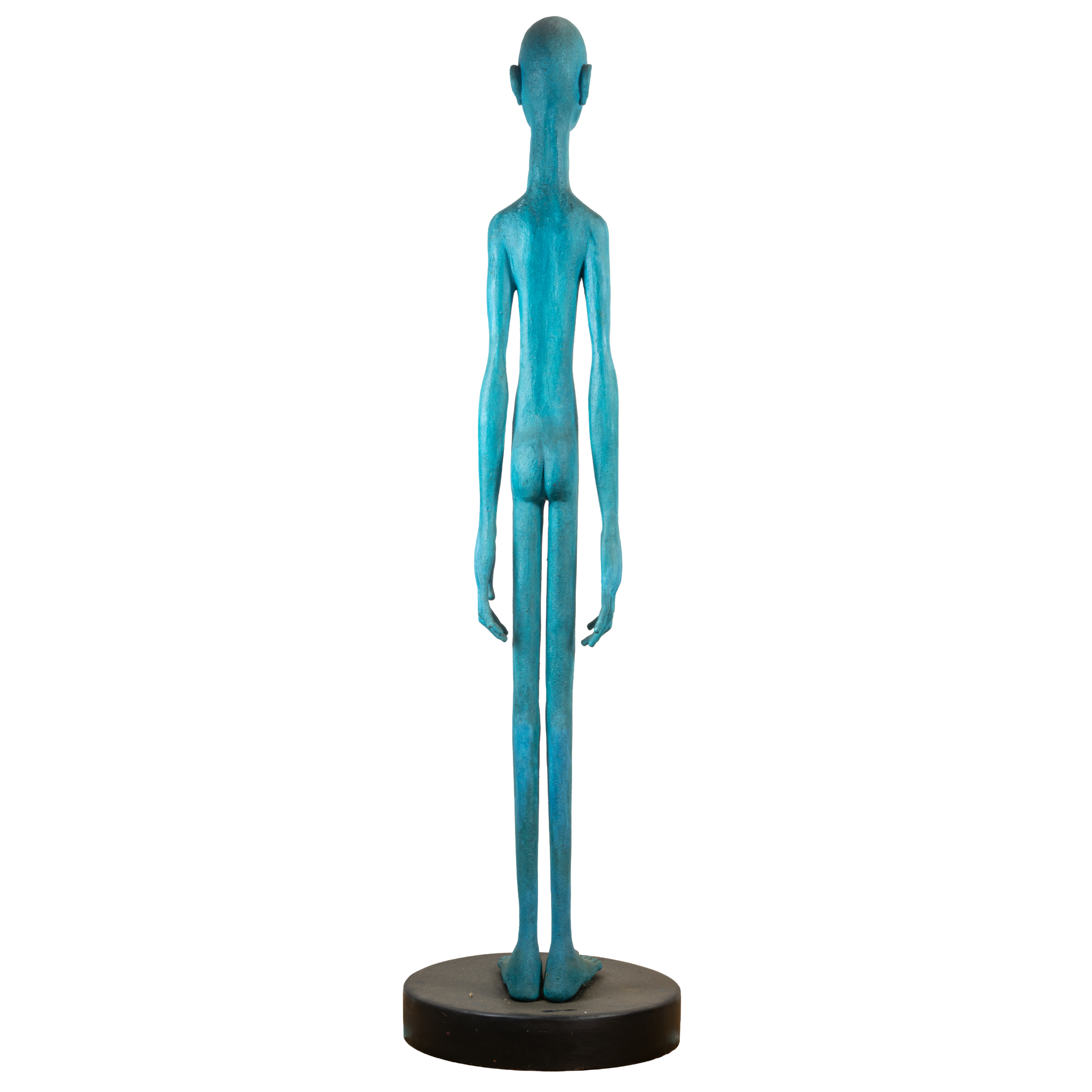 turquoiseman-back