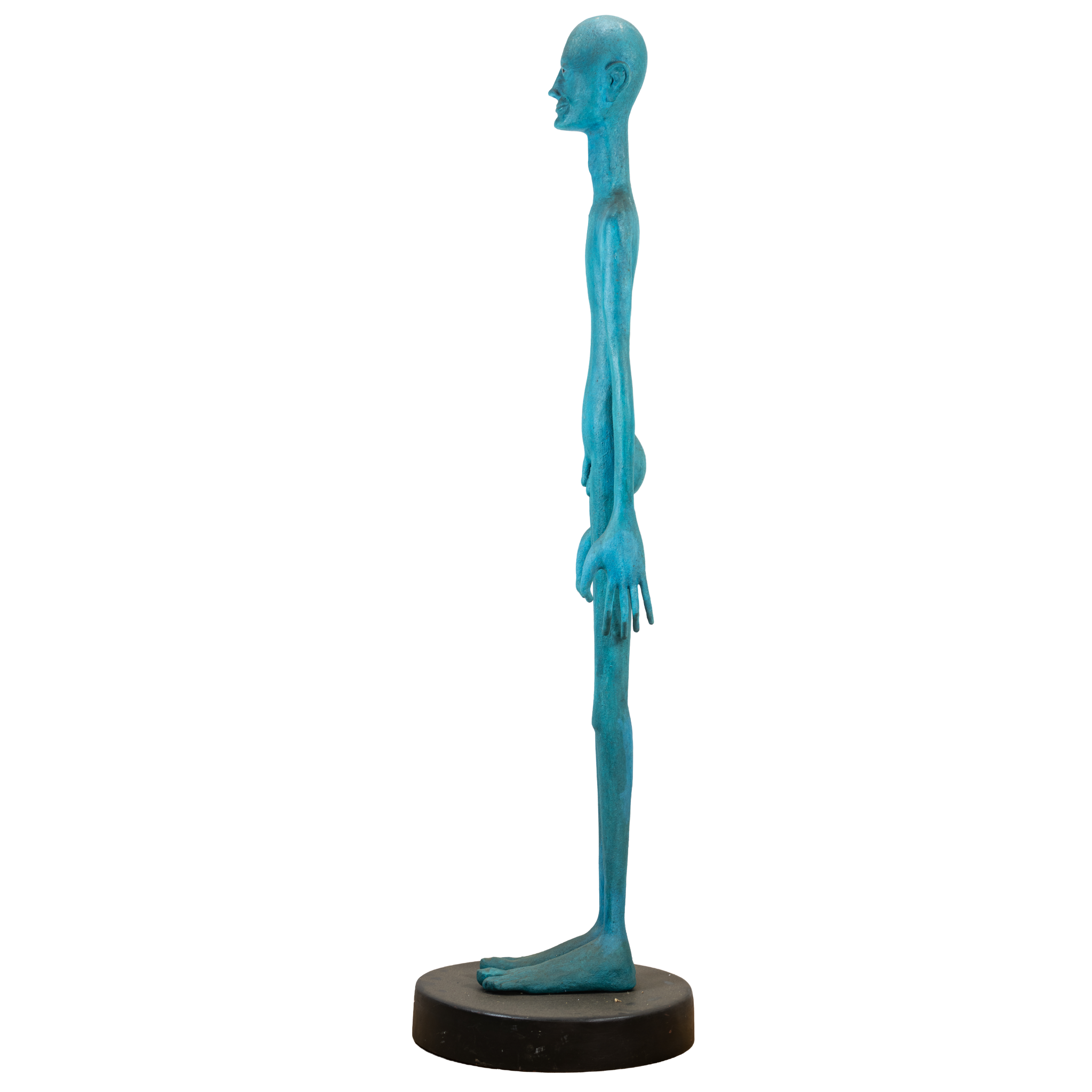 turquoiseman-left